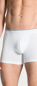 Calida Boxershort Pure & Style