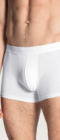 Boxer Brief Cotton Code