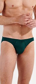 Comfort Micro Briefs Tencel soft 