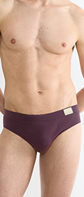 Sloggi GO Natural Brief 2er Pack