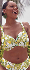 Anita Rosa Faia Bikini Top Hermine Lemon Love