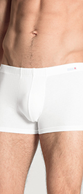 New Boxer Evolution