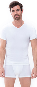 V Neck Shirt Software