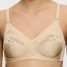 Triumph (1QC54) BH ohne Bügel Claudette 104