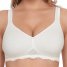 Susa BH ohne Bügel Organic Cotton