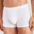 Calida Boxer Brief Evolution