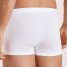 Calida Boxer Brief Evolution