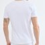 Sloggi V-Neck Shirt SLG Base